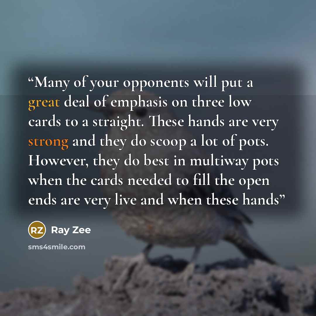 “Many of your opponents will put a great deal of emphasis on three low cards to a straight. These hands are very strong and they do scoop a lot of pots. However, they do best in multiway pots when the cards needed to fill the open ends are very live and when these hands” quote by Ray Zee