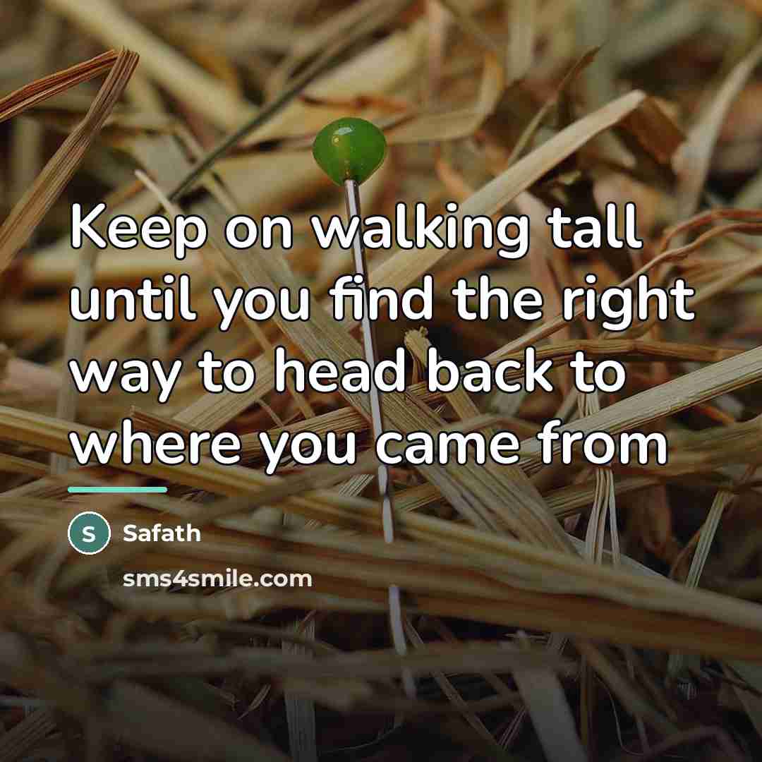 “Keep on walking tall until you find the right way…” quote by Safath