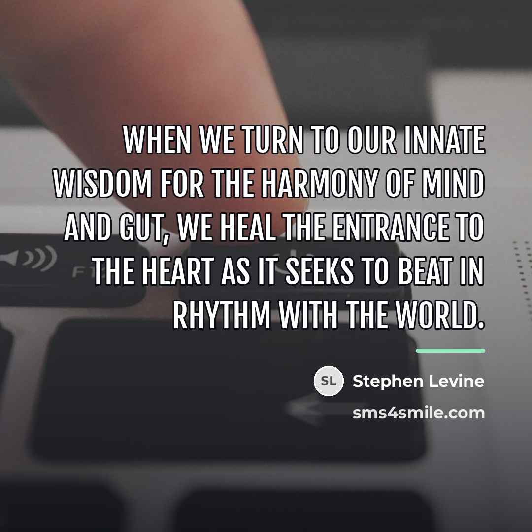 “When we turn to our innate wisdom for the harmony…” quote by Stephen Levine