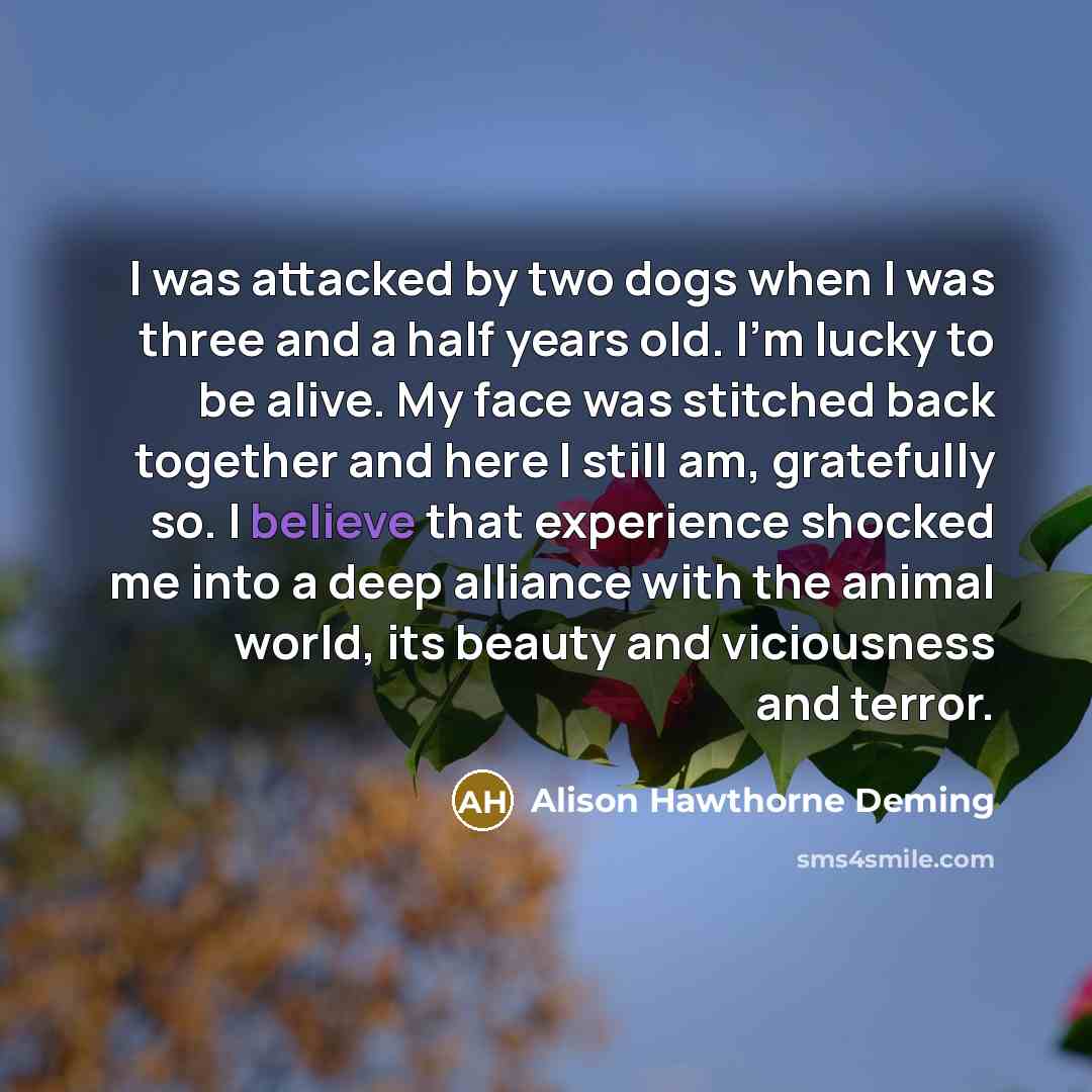 “I was attacked by two dogs when I was three…” quote by Alison Hawthorne Deming