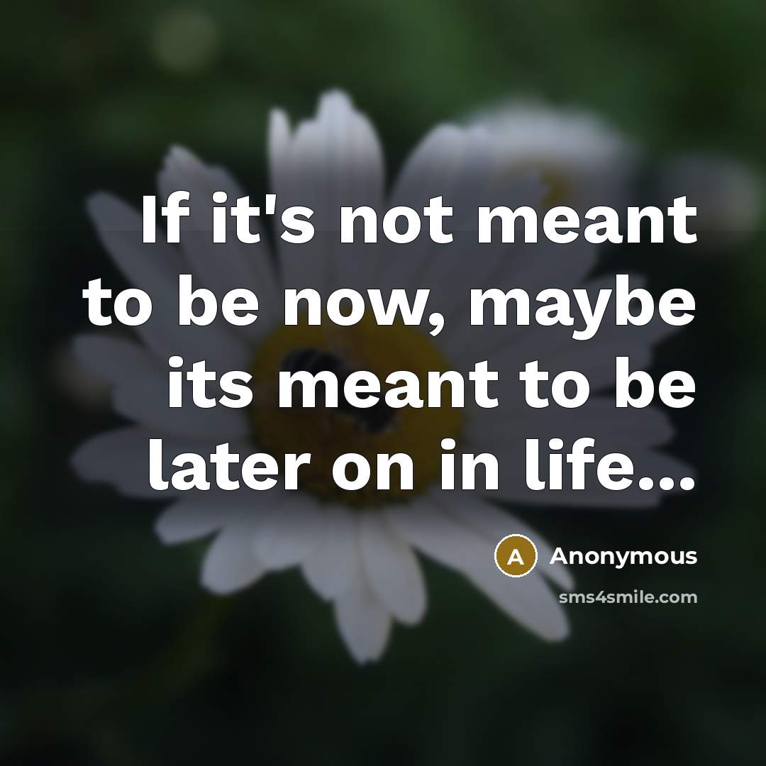 “If it's not meant to be now, maybe its meant…” quote by Anonymous