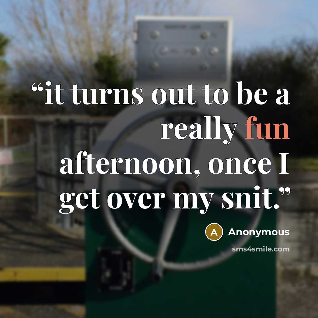 “it turns out to be a really fun afternoon, once I get over my snit.” quote by Anonymous