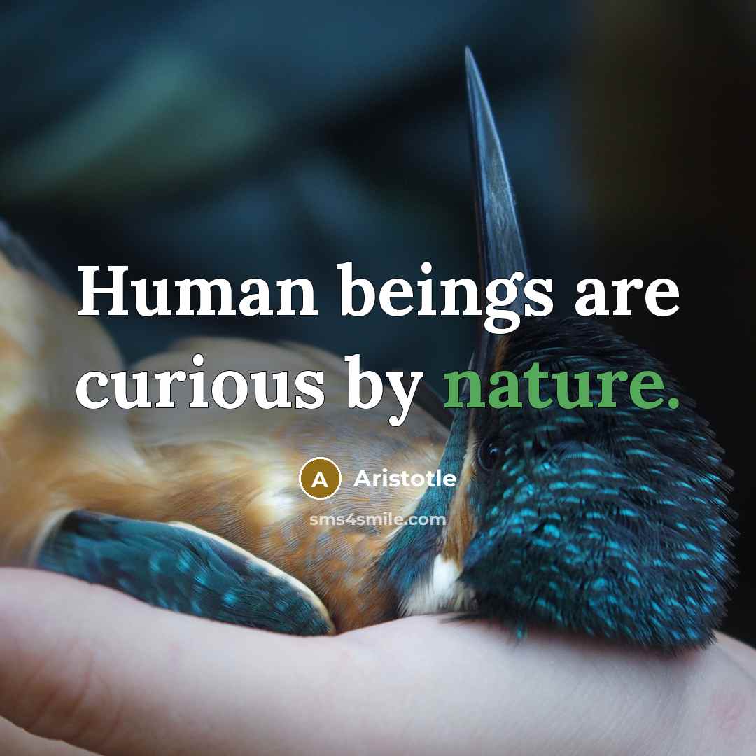“Human beings are curious by nature.…” quote by Aristotle