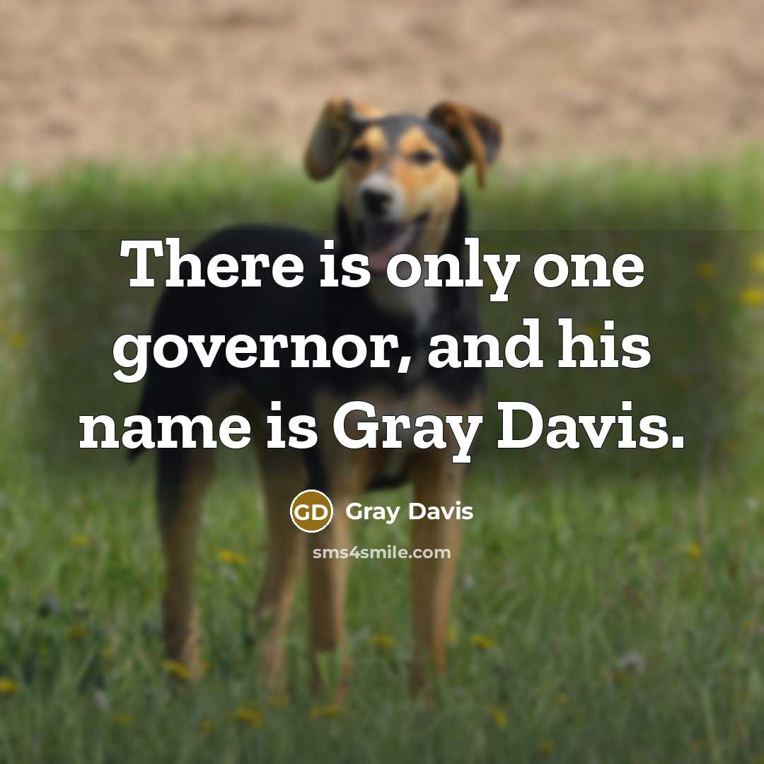 “There is only one governor, and his name is Gray…” quote by Gray Davis