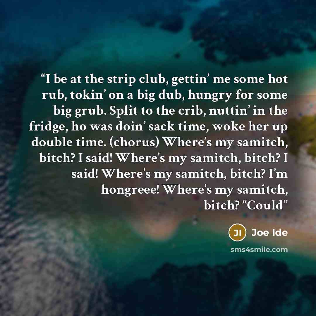 “I be at the strip club, gettin’ me some hot rub, tokin’ on a big dub, hungry for some big grub. Split to the crib, nuttin’ in the fridge, ho was doin’ sack time, woke her up double time. (chorus) Where’s my samitch, bitch? I said! Where’s my samitch, bitch? I said! Where’s my samitch, bitch? I’m…” quote by Joe Ide