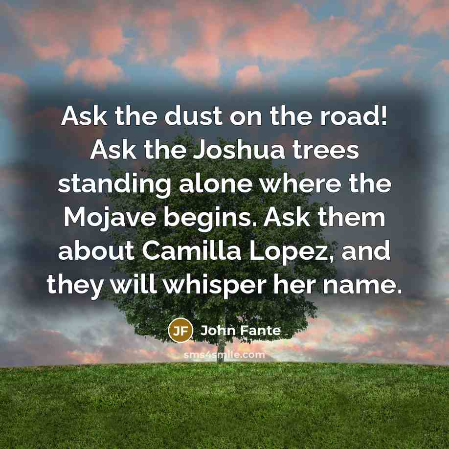 “Ask the dust on the road! Ask the Joshua trees…” quote by John Fante