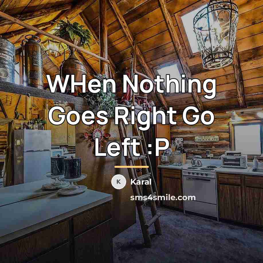 “WHen Nothing Goes Right Go Left :P…” quote by Karal