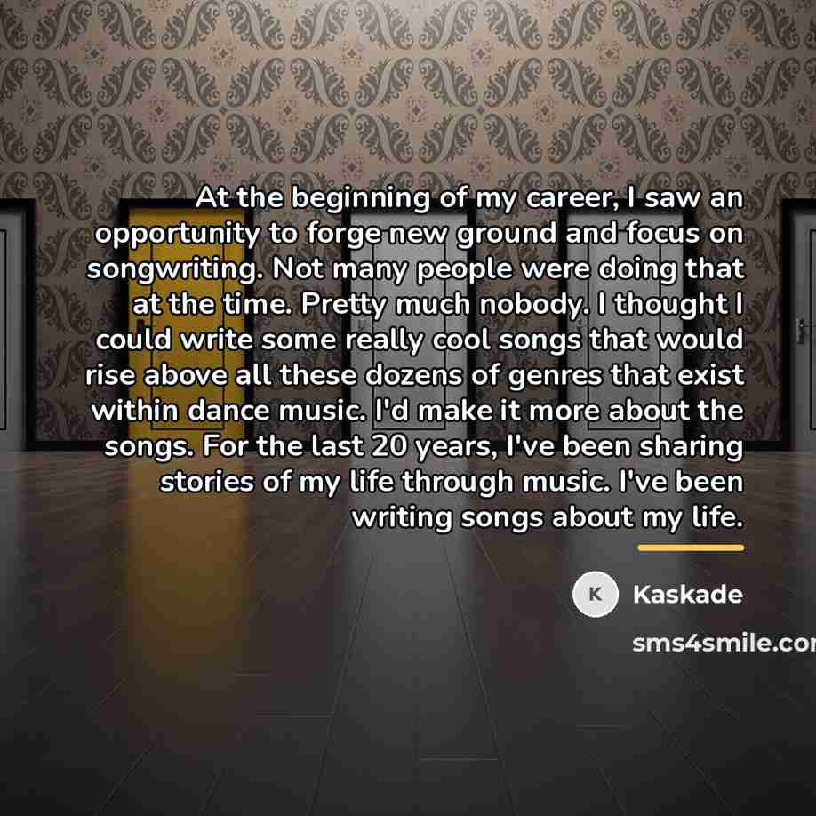 “At the beginning of my career, I saw an opportunity…” quote by Kaskade