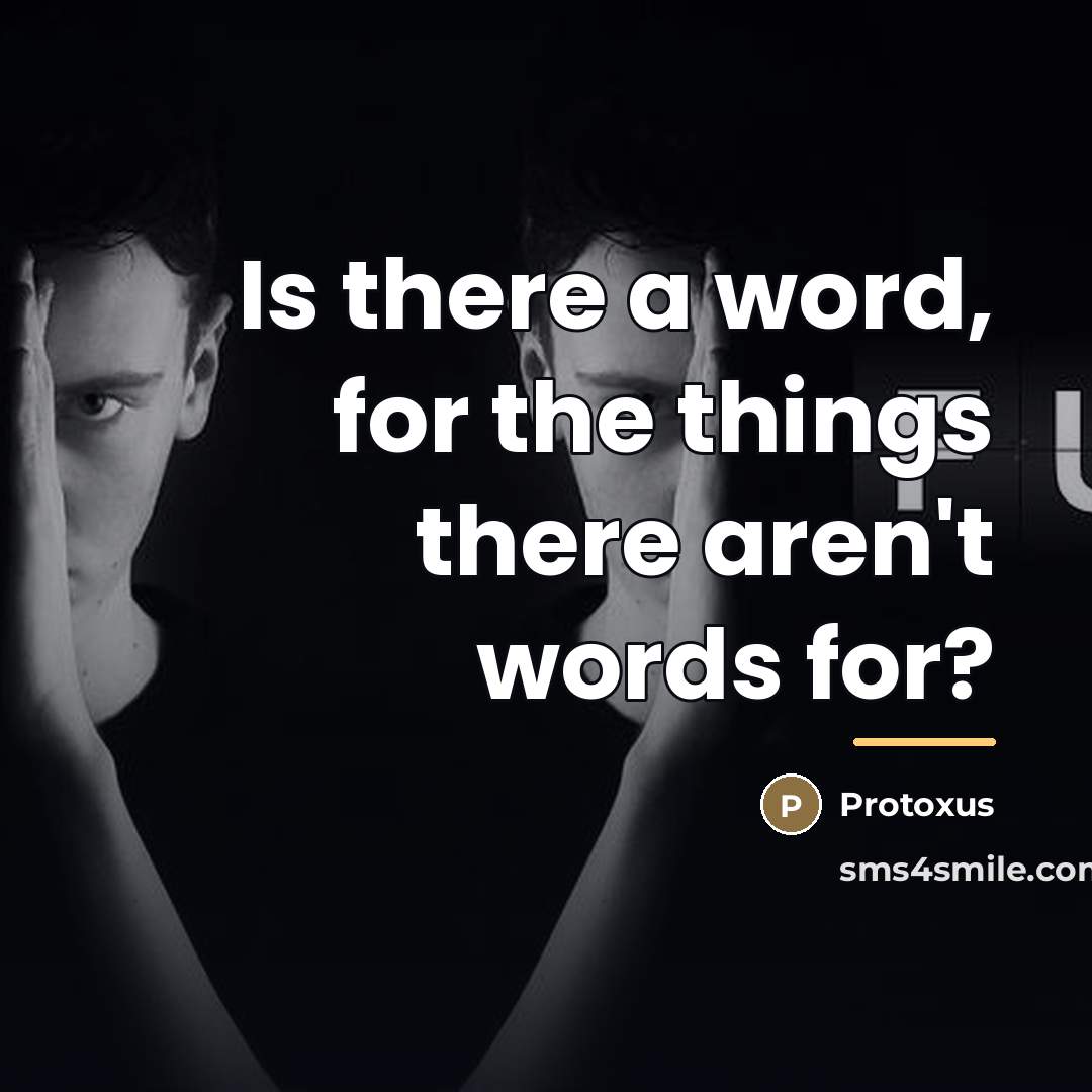 “Is there a word, for the things there aren't words…” quote by Protoxus