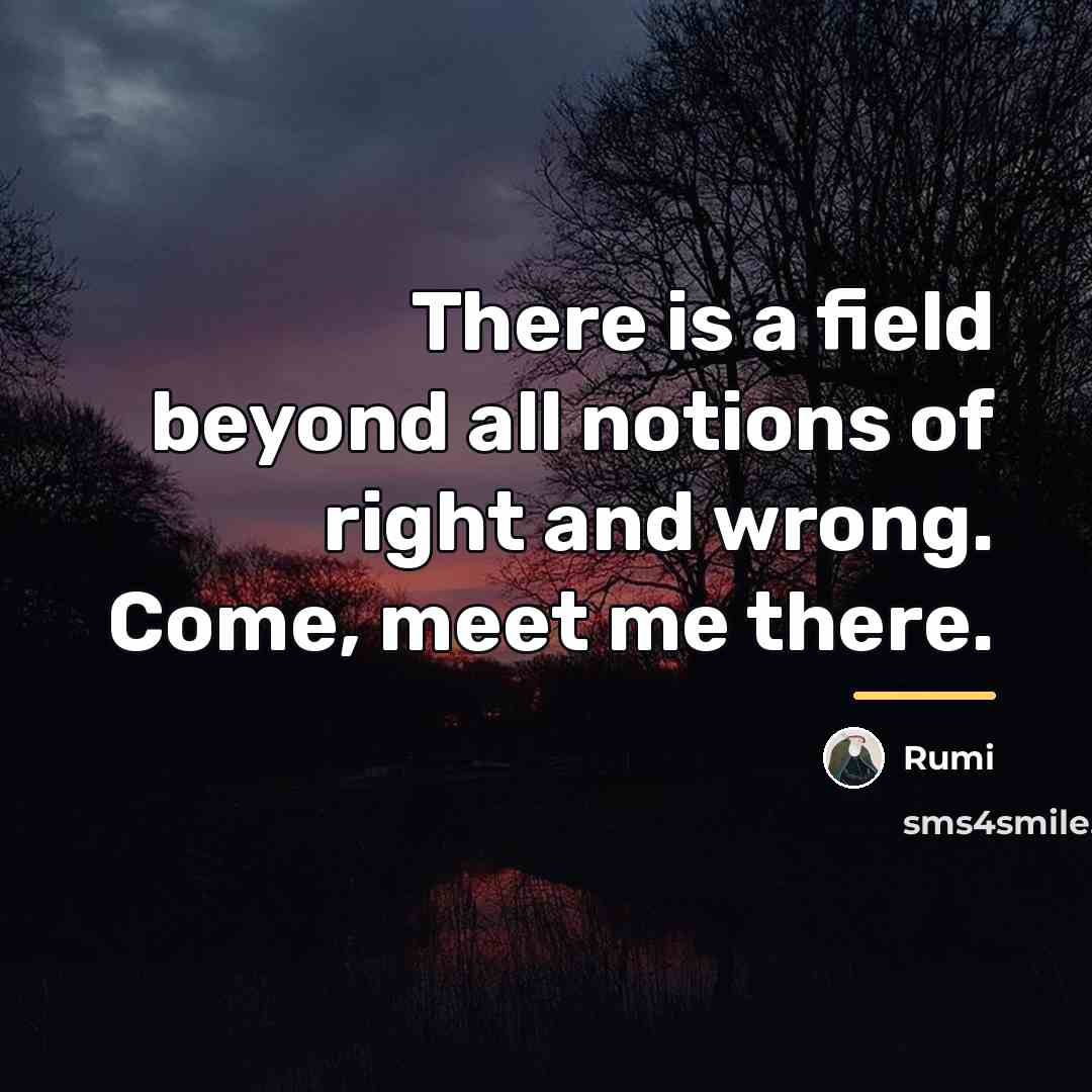 “There is a field beyond all notions of right and…” quote by Rumi