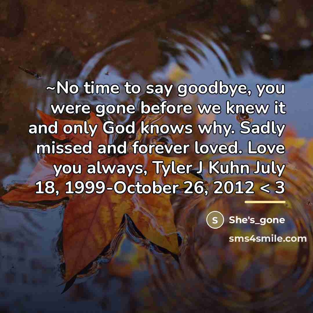 “~No time to say goodbye, you were gone before we…” quote by She's_gone