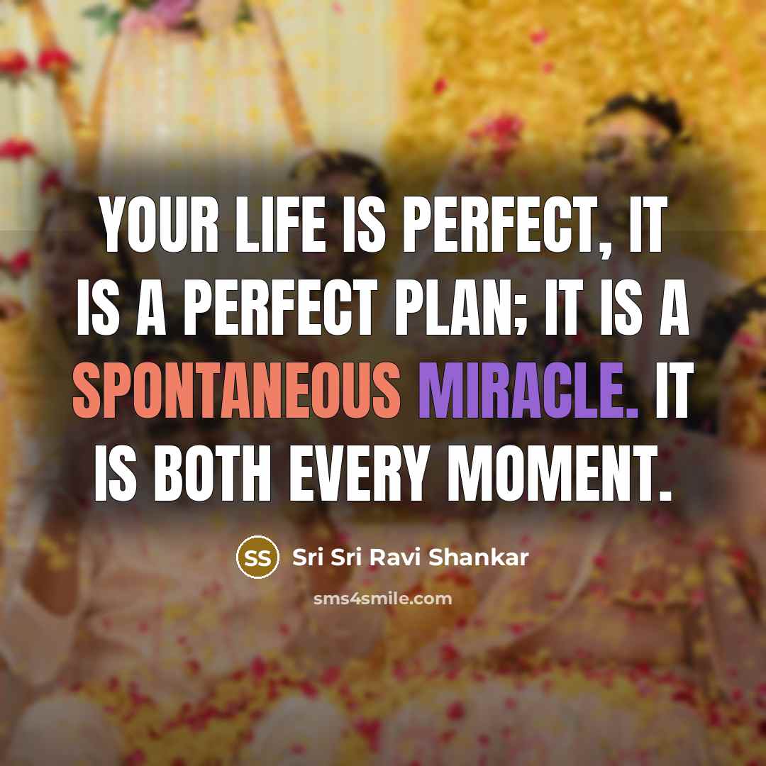 “Your life is perfect, it is a perfect plan; it…” quote by Sri Sri Ravi Shankar