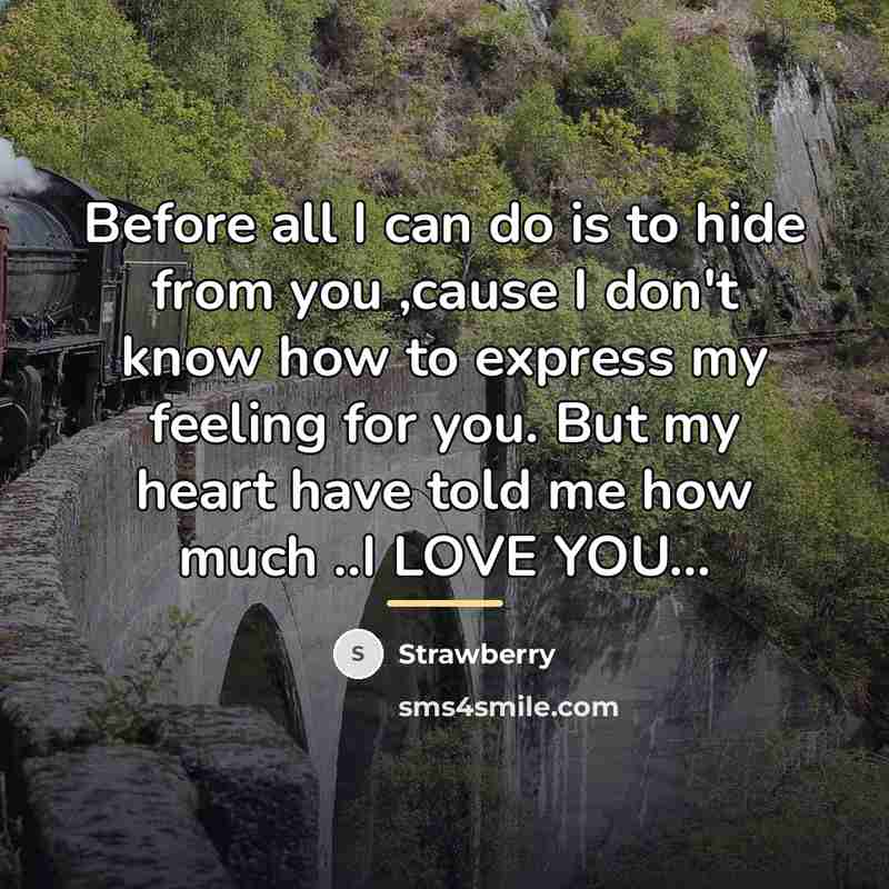 “Before all I can do is to hide from you…” quote by Strawberry