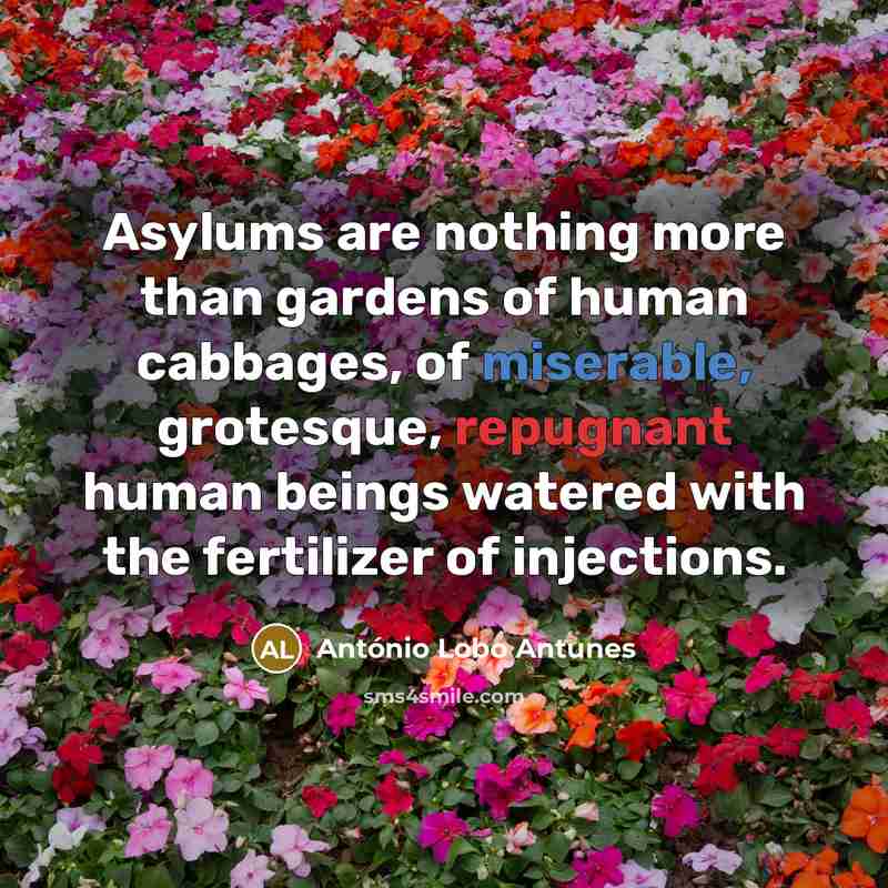 “Asylums are nothing more than gardens of human cabbages, of…” quote by Antonio Lobo Antunes