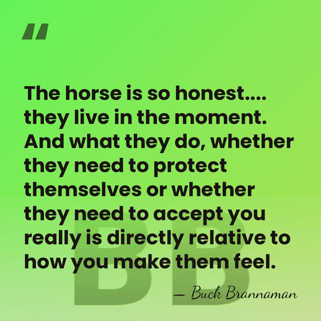 The horse is so honest.... they live in the moment. And what&hellip; - Buck Brannaman
