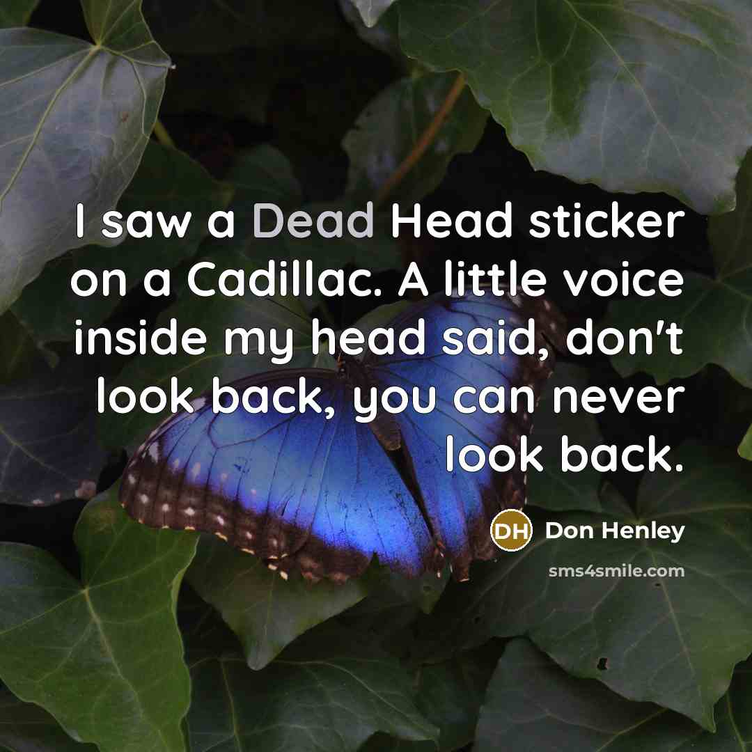 “I saw a Dead Head sticker on a Cadillac. A…” quote by Don Henley