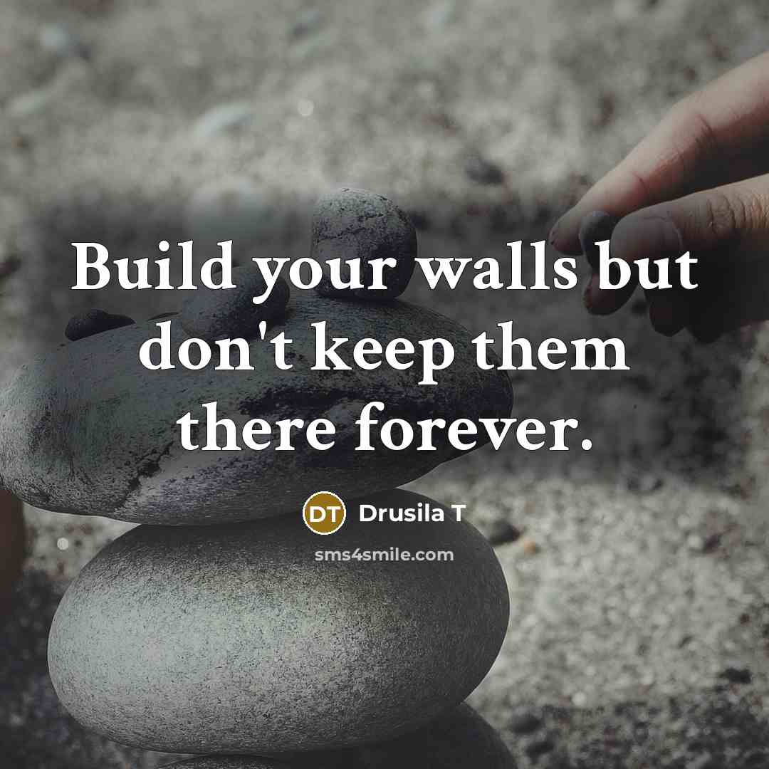 “Build your walls but don't keep them there forever.” quote by Drusila T