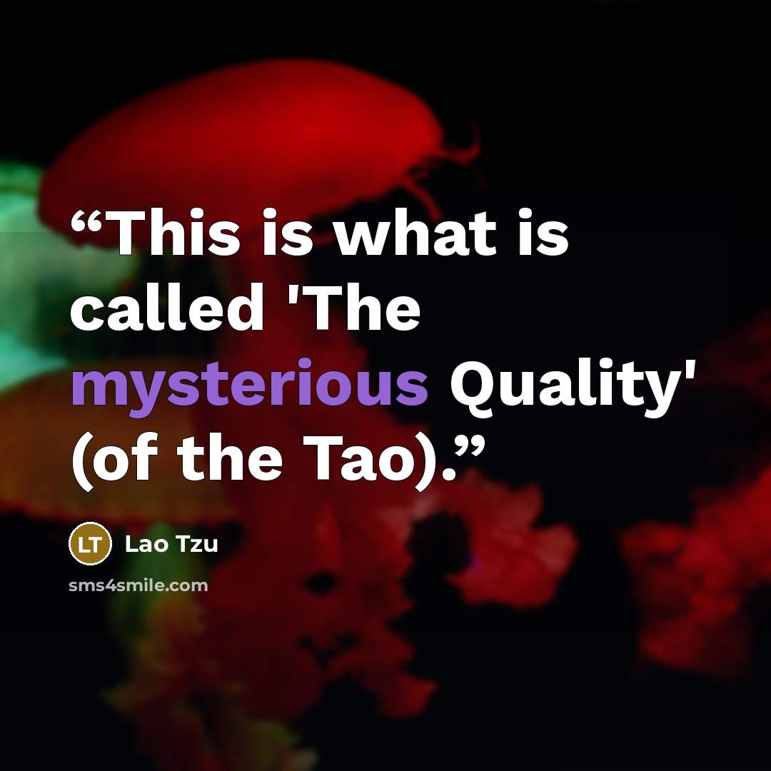 “This is what is called 'The mysterious Quality' (of the Tao).” quote by Lao Tzu