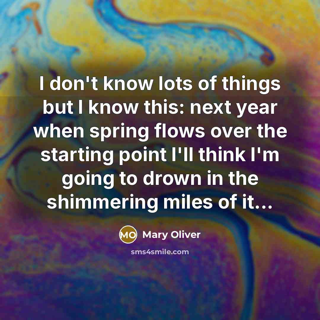 “I don't know lots of things but I know this:…” quote by Mary Oliver
