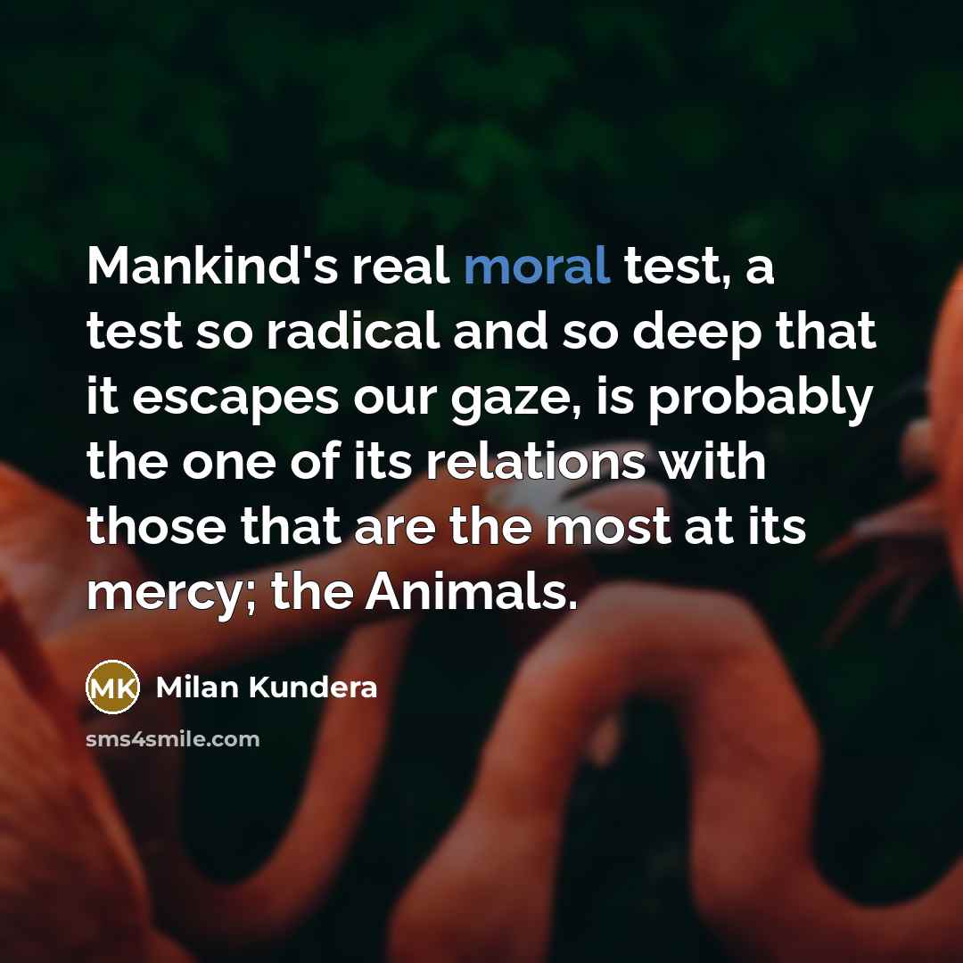 “Mankind's real moral test, a test so radical and so…” quote by Milan Kundera
