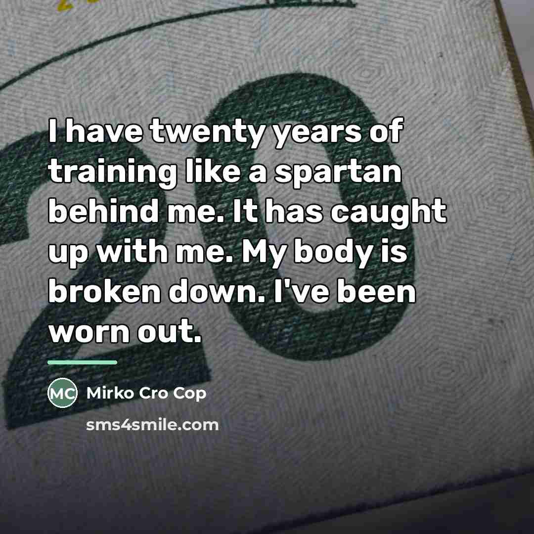 “I have twenty years of training like a spartan behind…” quote by Mirko Cro Cop