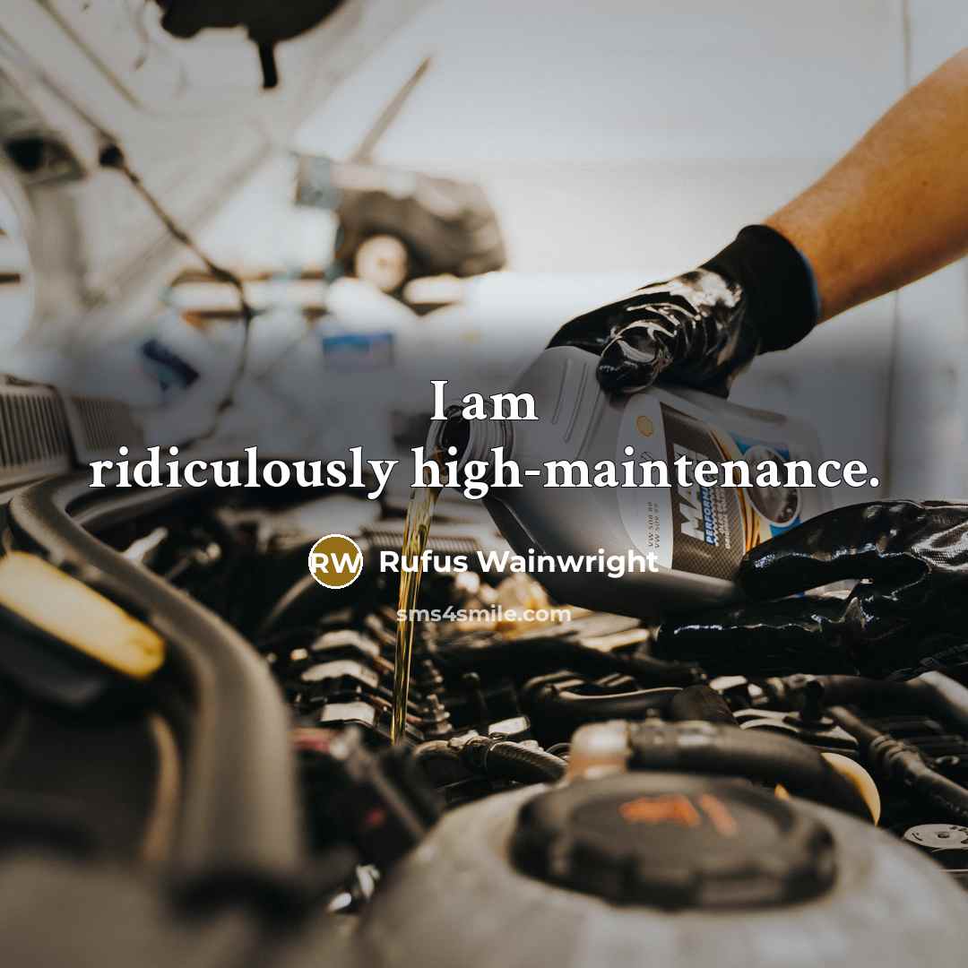 “I am ridiculously high-maintenance.…” quote by Rufus Wainwright