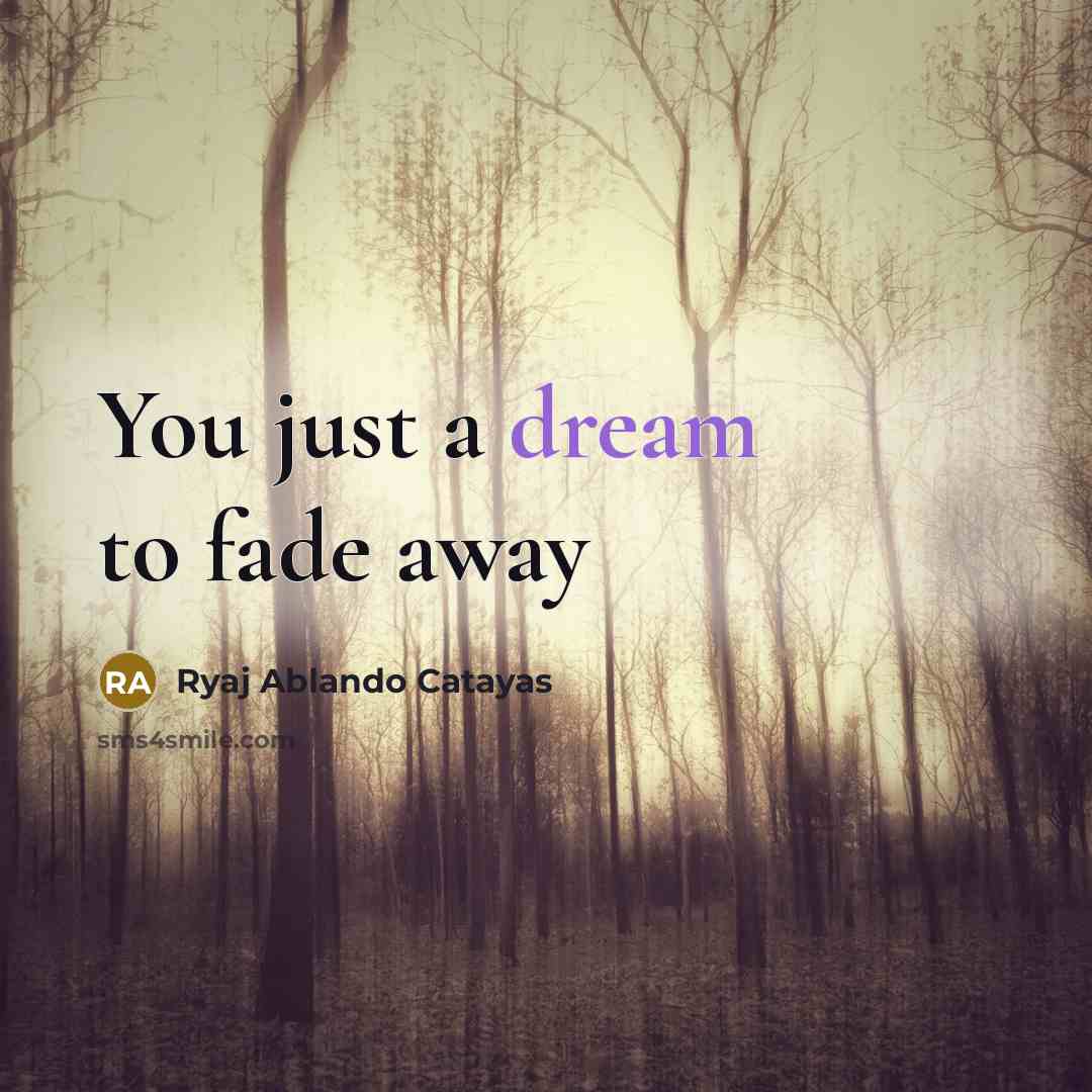 “You just a dream to fade away…” quote by Ryaj Ablando Catayas