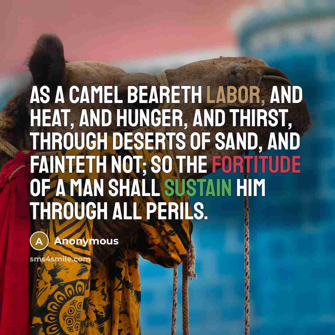 “As a camel beareth labor, and heat, and hunger, and thirst, through deserts of sand, and fainteth not; so the fortitude of a man shall sustain him through all perils.” quote by Anonymous