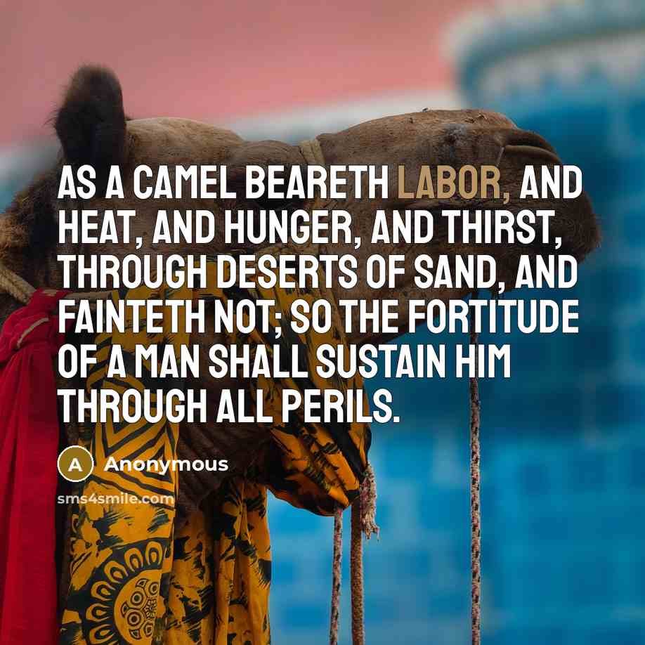 “As a camel beareth labor, and heat, and hunger, and…” quote by Anonymous