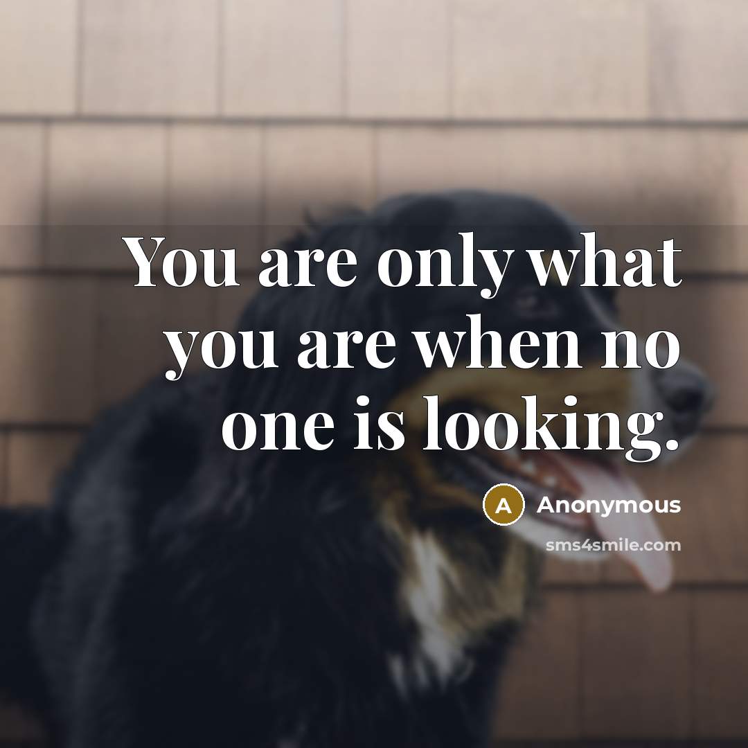“You are only what you are when no one is…” quote by Anonymous