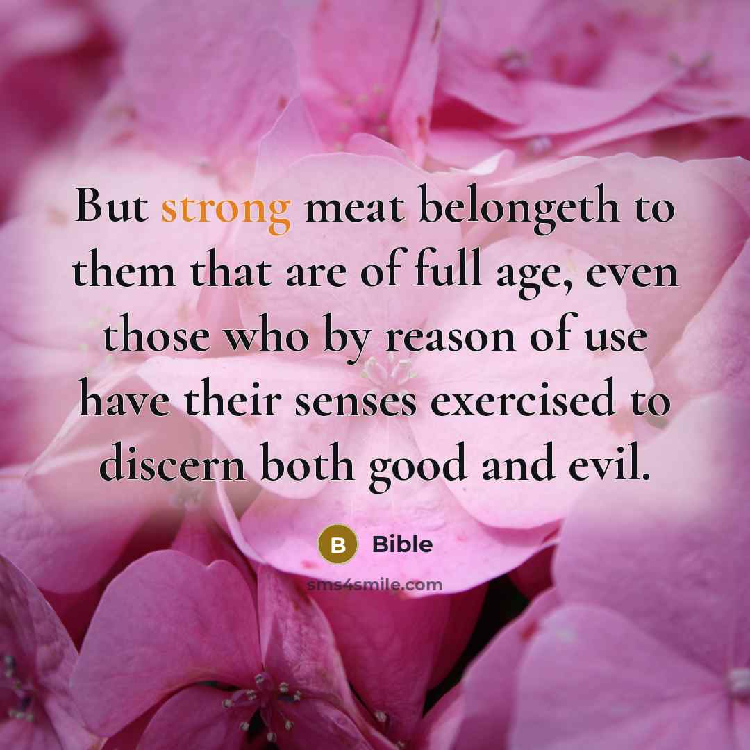 “But strong meat belongeth to them that are of full…” quote by Bible