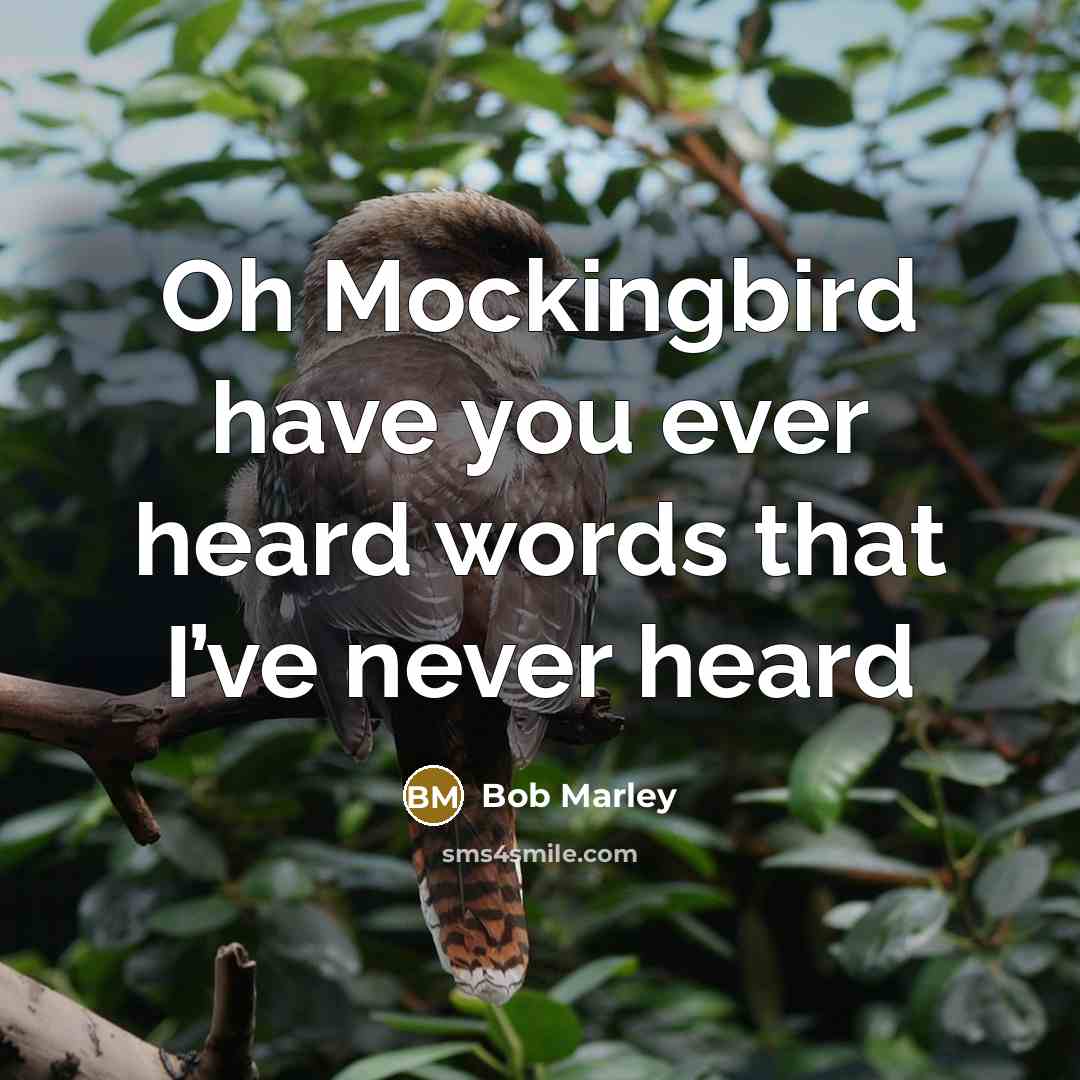 “Oh Mockingbird have you ever heard words that I’ve never…” quote by Bob Marley