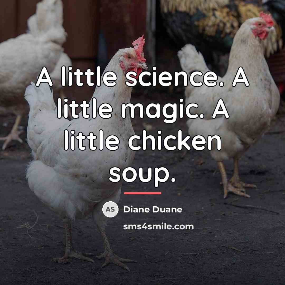 “A little science. A little magic. A little chicken soup.…” quote by Diane Duane