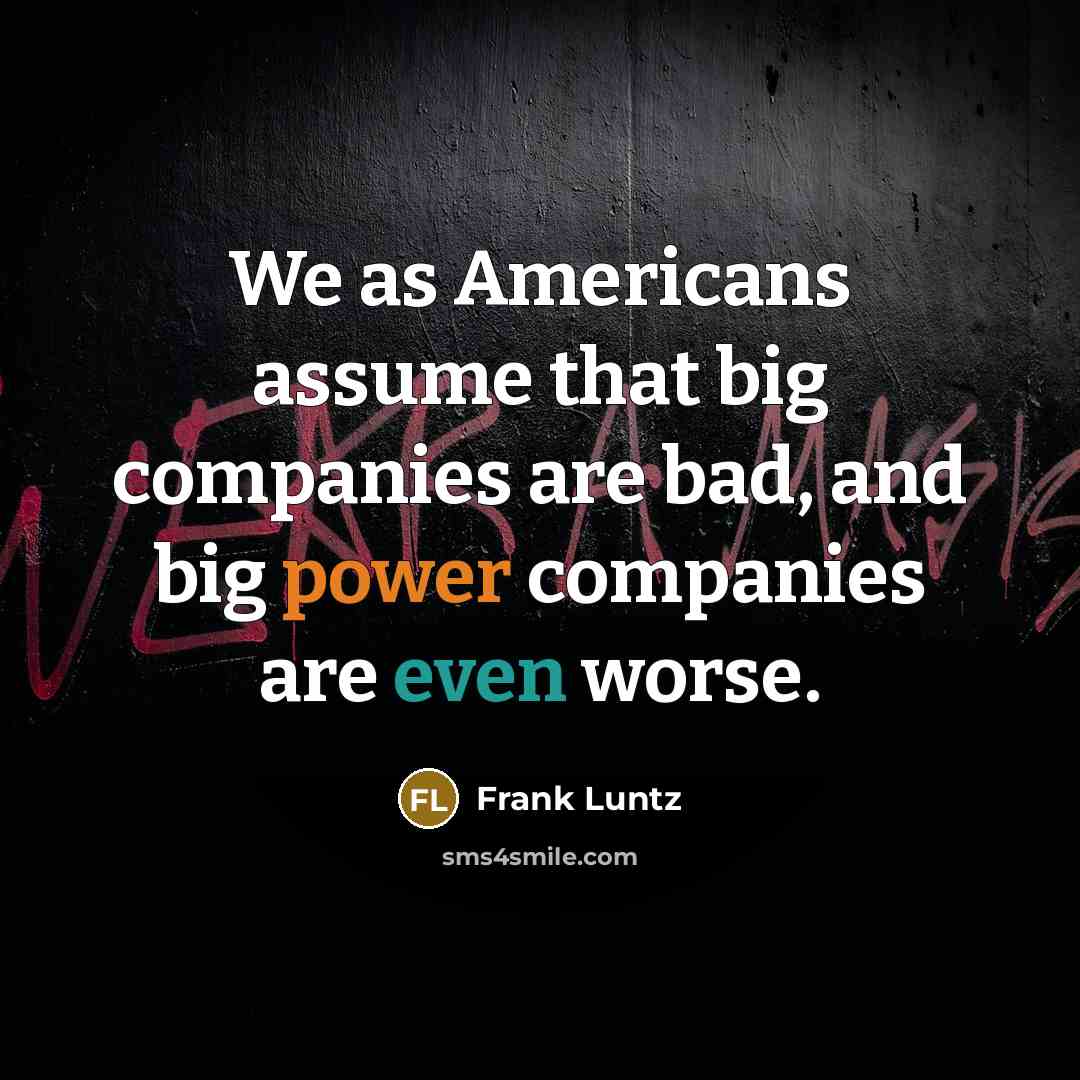 “We as Americans assume that big companies are bad, and…” quote by Frank Luntz