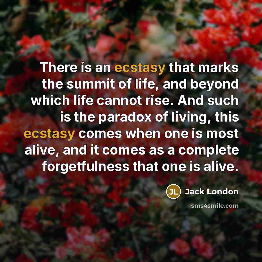 “There is an ecstasy that marks the summit of life,…” quote by Jack London