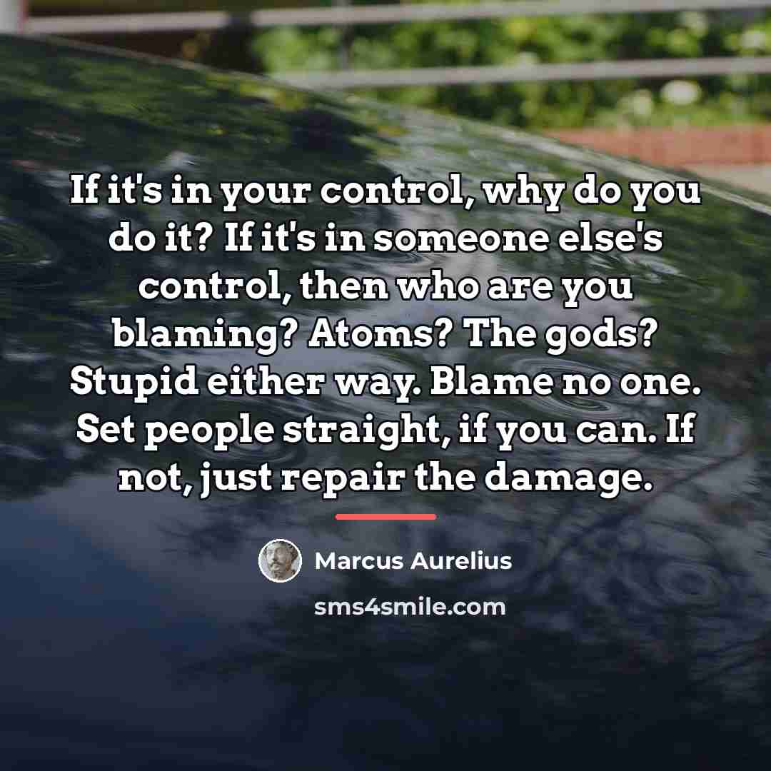 “If it's in your control, why do you do it?…” quote by Marcus Aurelius