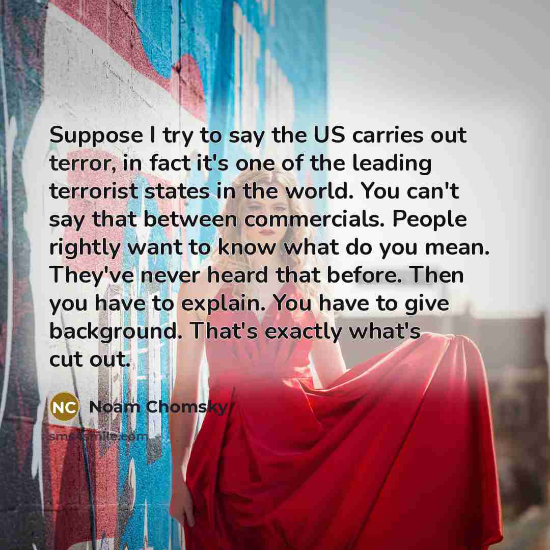 “Suppose I try to say the US carries out terror,…” quote by Noam Chomsky