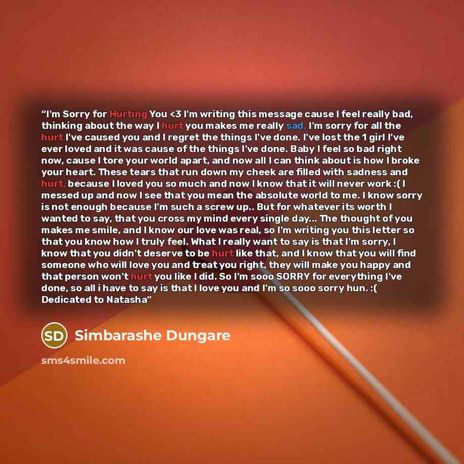 ““I'm Sorry for Hurting You” quote by Simbarashe Dungare