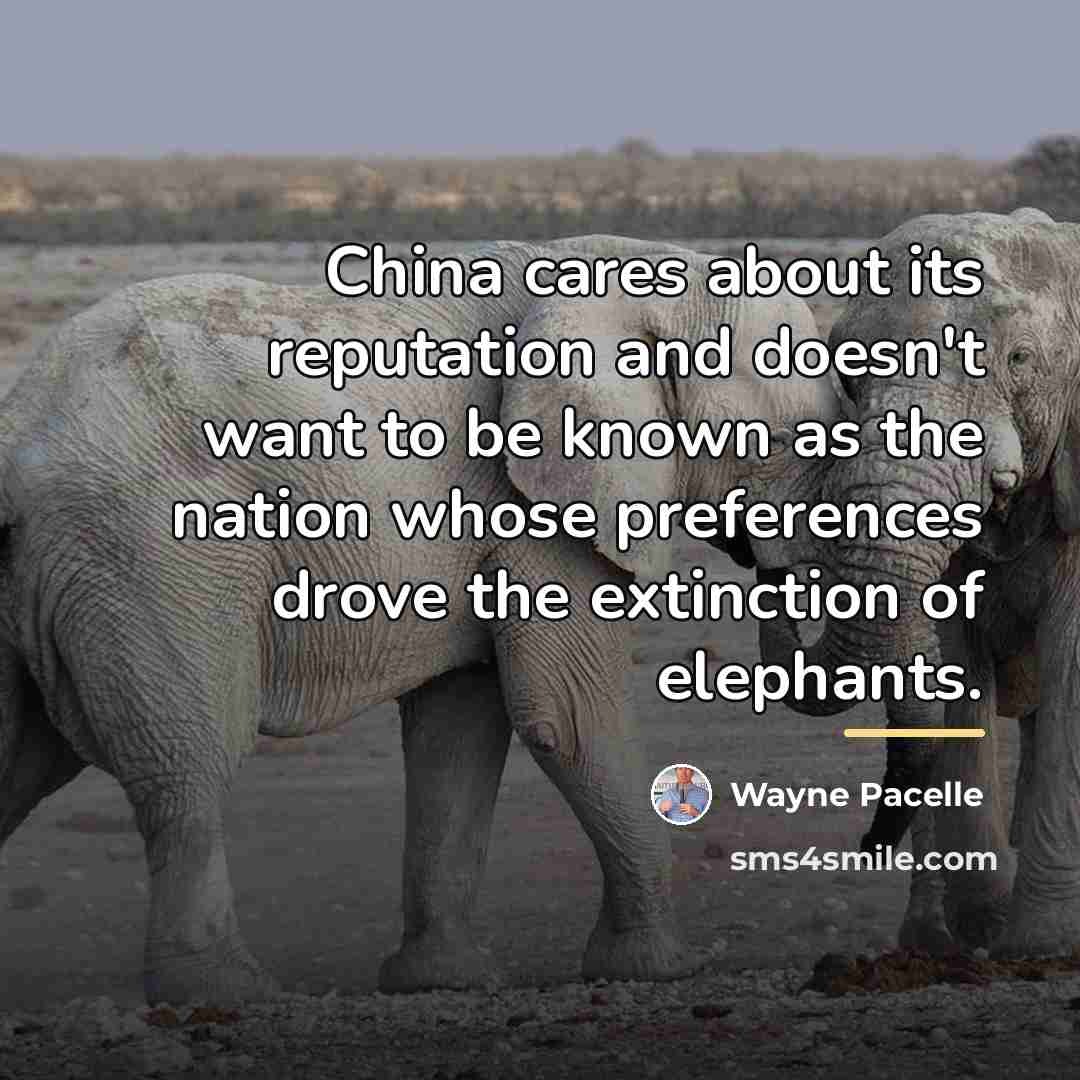 “China cares about its reputation and doesn't want to be…” quote by Wayne Pacelle