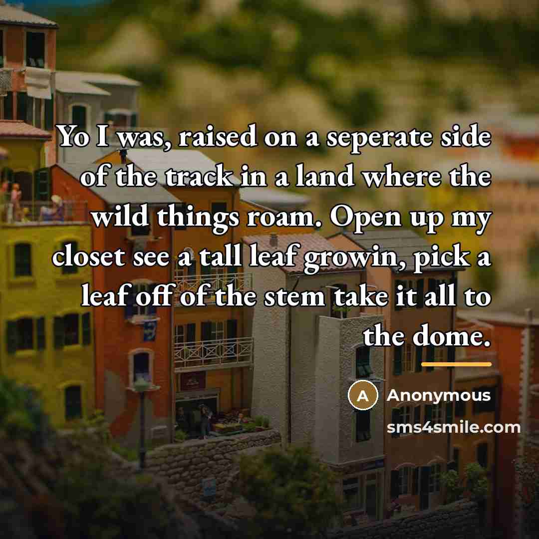 “Yo I was, raised on a seperate side of the…” quote by Anonymous