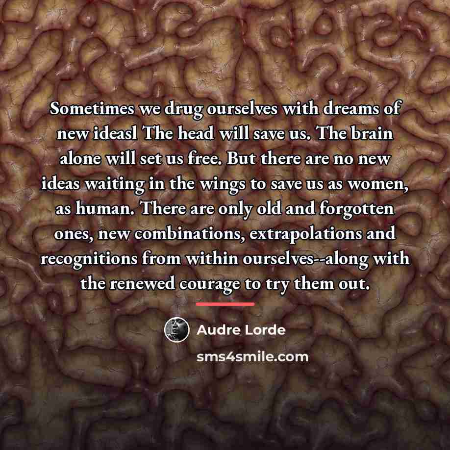 “Sometimes we drug ourselves with dreams of new ideasl The…” quote by Audre Lorde