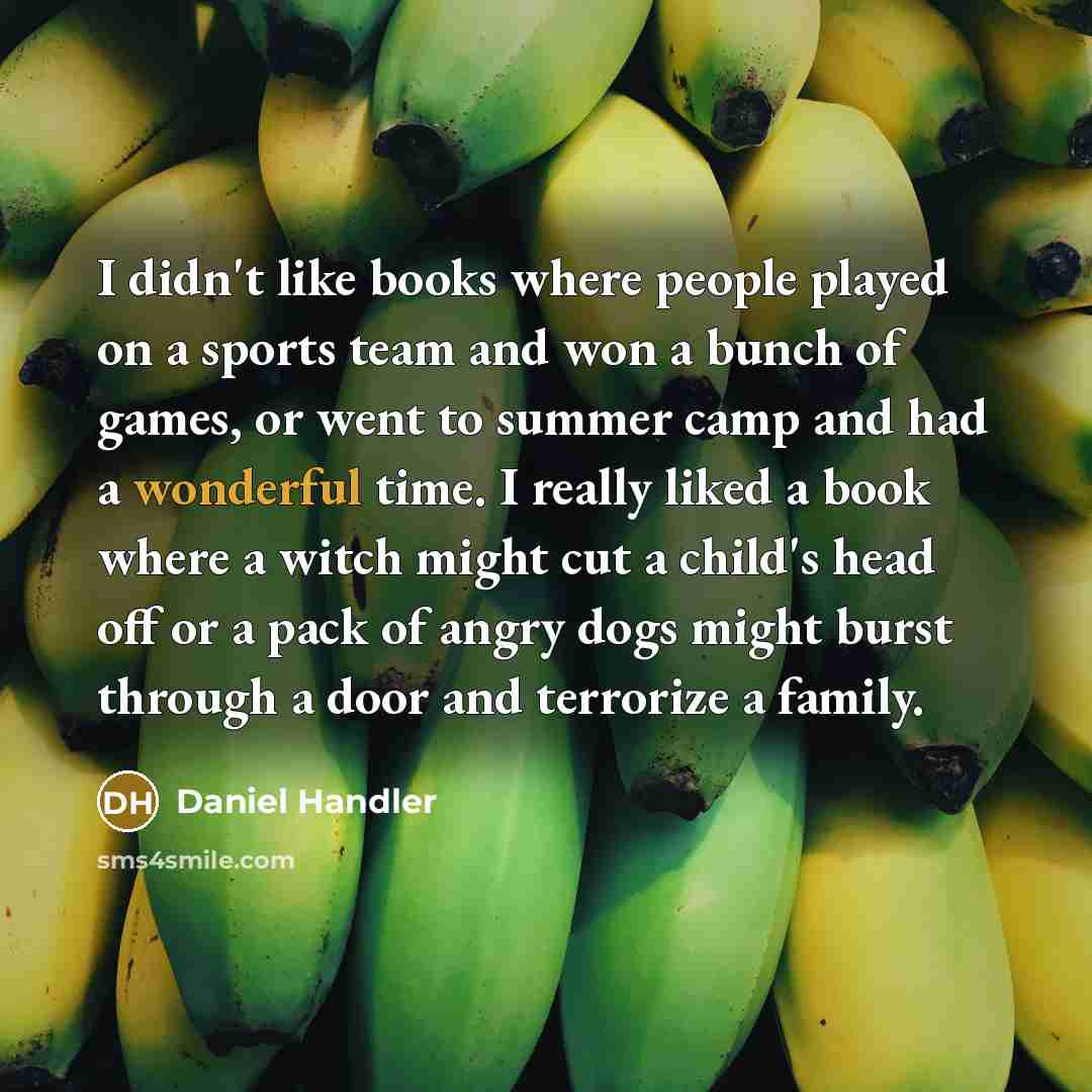 “I didn't like books where people played on a sports…” quote by Daniel Handler