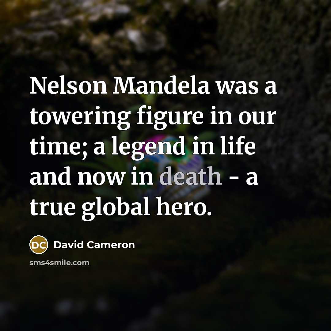 “Nelson Mandela was a towering figure in our time; a…” quote by David Cameron