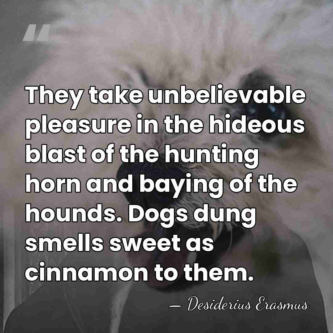 They take unbelievable pleasure in the hideous blast of the hunting horn&hellip; - Desiderius Erasmus