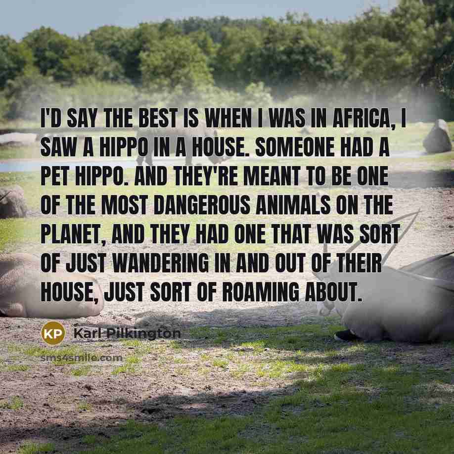 “I'd say the best is when I was in Africa,…” quote by Karl Pilkington