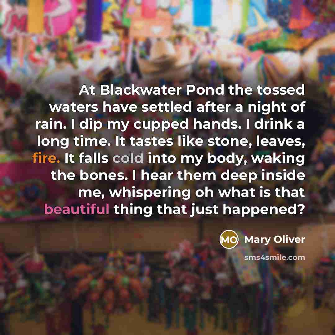 “At Blackwater Pond the tossed waters have settled after a…” quote by Mary Oliver
