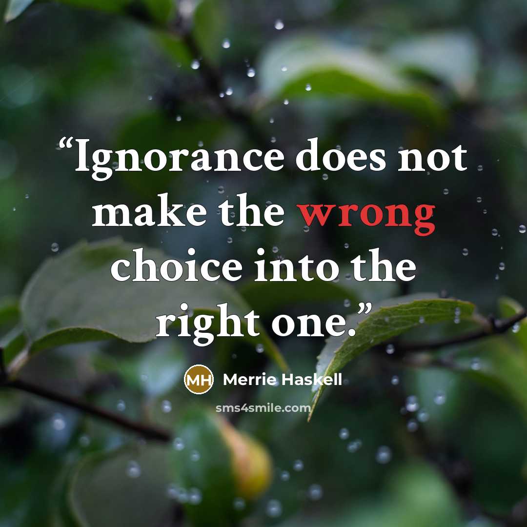 “Ignorance does not make the wrong choice into the right one.” quote by Merrie Haskell