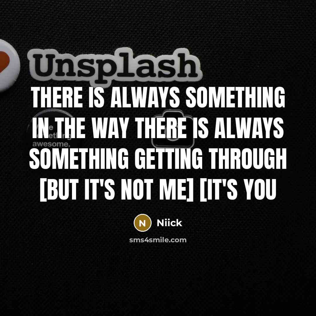 “There Is Always Something In The Way There Is Always Something Getting Through [But It's Not Me] [It's You” quote by Niick