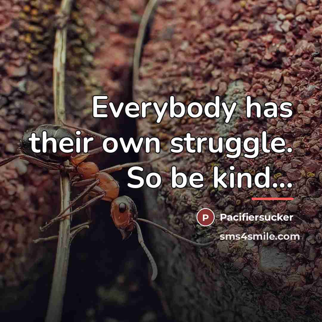 “Everybody has their own struggle. So be kind...…” quote by Pacifiersucker