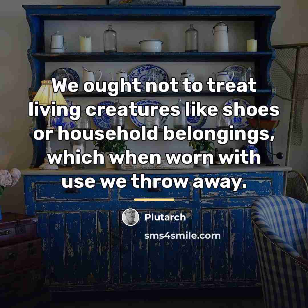 “We ought not to treat living creatures like shoes or…” quote by Plutarch
